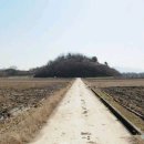 금성면사무소 이미지