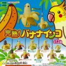 여기서 뽑아 이미지