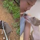 공효진, 반려견 요지와 함께 '댕집사' 우중 산책 이미지