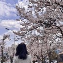 젊음의광장매점 이미지