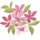 소망꽃화원 이미지