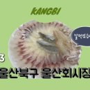 울산회시장