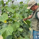 이종대 농장 이미지