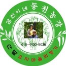 동천농장 수비초고추 모종 이미지