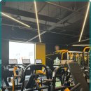 웰니스짐 이미지