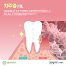 이을치과의원 이미지