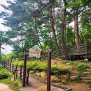 화왕산자연휴양림야영장 이미지