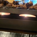 1976양꼬치 이미지