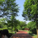 부천원일초등학교 이미지