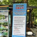 오&Pet | 완주 동상계곡 &lt;검태오남매&gt; 평상가격 주말방문후기