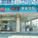 메트로동물병원 이미지