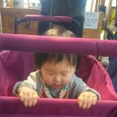 주일농장 이미지