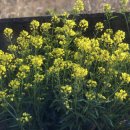 금오도별밤지기펜션 이미지