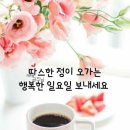 세상사는이야기 이미지