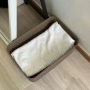 푸른등대펜션 | 삼척 장호항 스노쿨링 평상대여 | 가까운 가성비숙소 장호푸른등대펜션 🌊🤿