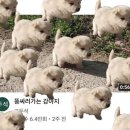 나포토 이미지