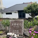 오랜제주 선화집 | [제주 동쪽 감성 숙소] 오랜제주선화집_제주 조천 / 함덕 숙소 추천