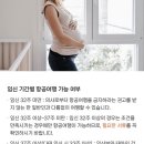 제주마이니치 | 임신 ep.9 | 30w 0d (30주 임산부 일본출장 2박 3일 후기 feat. 제주항공)