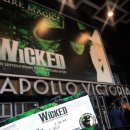 춘천 라이브 박스 : BLUE BOX | 런던🇬🇧3박 4일 여행기 |✨DAY 2: 학회+런던 뮤지컬 +Harry’s Victoria+야식 파티!✨