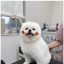 베베멍