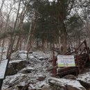 사자봉민박 이미지