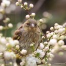 꽃가람펜션 이미지