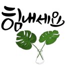 연평도 목포 산꽃게 이미지