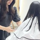 샤인헤어비스