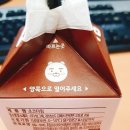 라이언