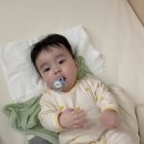 달성서씨울산문회 | [6개월] 아기 육아일기 성장기록 | 이유식 시작, 변비, 이앓이, 낮잠 2회 전환, 베이비타임