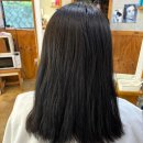 보보헤어샵 - 칠곡군 | 보보헤어샵