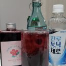 진로마트농산 | 음료에 타먹는 히비스커스 핑크티 콜드브루 원액 / 술말아먹은 후기