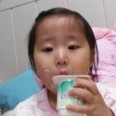 호로록얌얌