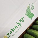 아삭농장 | 식구 모두 잘 먹은 찬이네농장 오이 후기 신선하고 아삭한 천안 아우내 백다다기오이