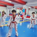 골든킥 태권도 유아체육 | 초등학생이 태권도를 배우면 생기는 긍정적인 변화 5가지 - 부천 중동 경희대 박사 현대 태권도