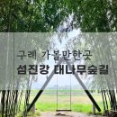 섬진강대나무숲길 이미지