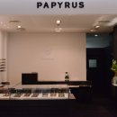 뉴파피루스안경원 이미지