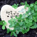 부국당