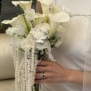 멜로우호텔 이미지