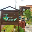 초록꿈틀마을 이미지