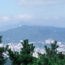 수정4동체육공원 이미지