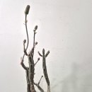 칠석농장 이미지