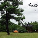 표선리-10 이미지