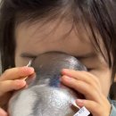 익기차 이미지