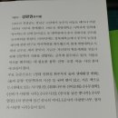 나무선비