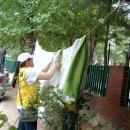 부흥세탁 이미지