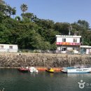 중문진실캠핑장 | [제주도 서귀포시] 제8회 농촌융복합산업 제주국제박람회
