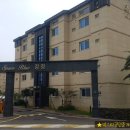 강정동-4 이미지