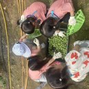 주덕농장 이미지