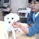 가좌종합동물병원 이미지